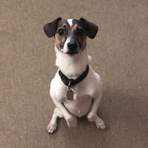 Meet your Posher, Allison